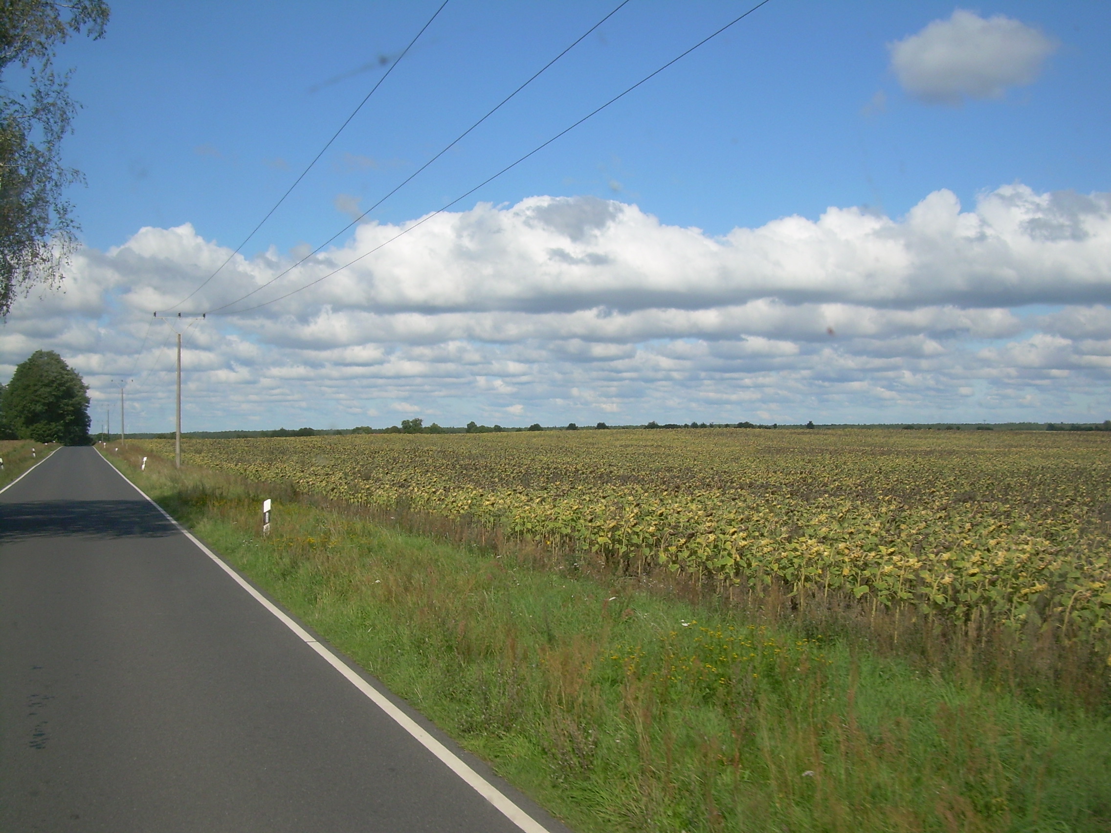 B6 und Ostseek&uuml;ste